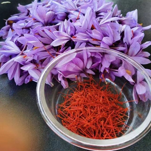 藏紅花